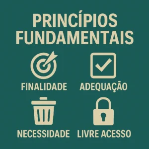 Princípios da LGPD explicados visualmente